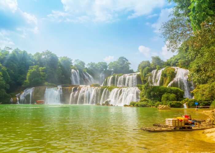 tree-pond-beauty-ban-motion-tropical