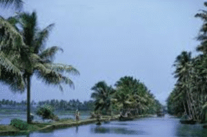 Mararikulam