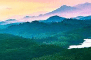 Kuruvadweep