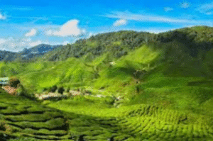 Chalakudy