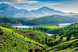 Wayanad
